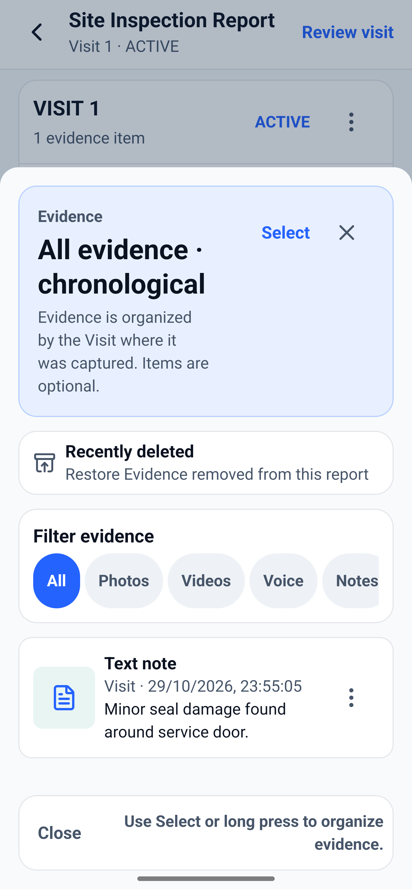 Evidence sheet showing chronological evidence, filters and a fictional site note.